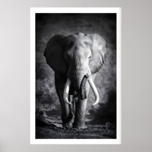 Poster Arte de Parede de Elefante Minimalista Preto e Bra