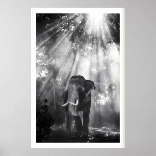 Poster Arte de Parede de Elefante Monocromático, Foto da  (Frente)