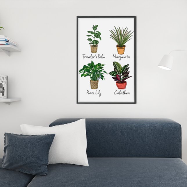 Poster Arte de Parede de Plantas Desenhadas à Mão (Criador carregado)