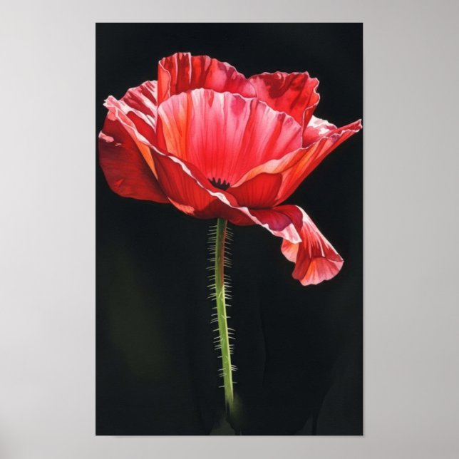 Poster Arte de parede. Flor na escuridão (Frente)