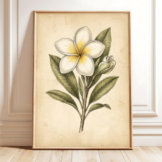 Poster Arte de Parede Florais de Plumeria Vintage