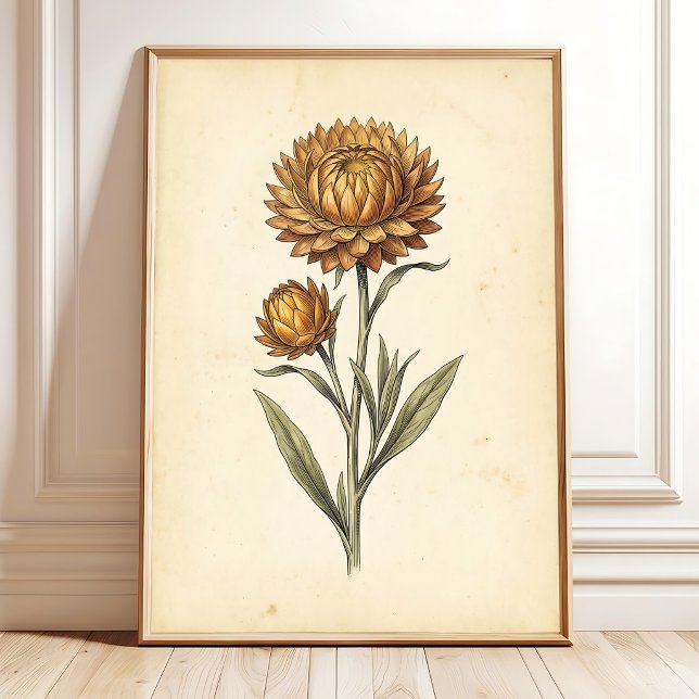 Poster Arte de Parede Floral de Palhaço Botânico (Criador carregado)
