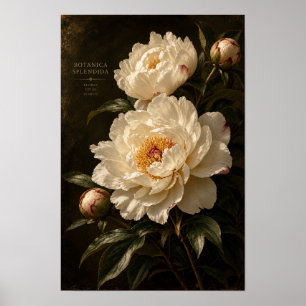 Poster Arte de Parede Floral Escura de Peônia Marfim Vint