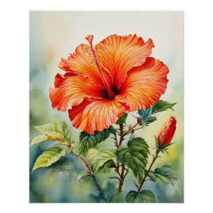 Pôster Arte de Parede Floral Tropical Hibisco Laranja