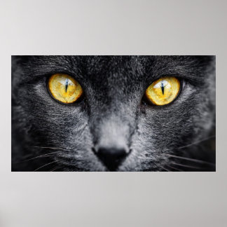 Poster Arte de Parede Gato Preto com Olhos Dourados – Ani