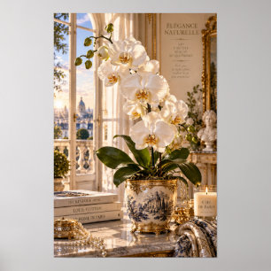 Poster Arte de Parede Orquídea Branca Vintage Paris
