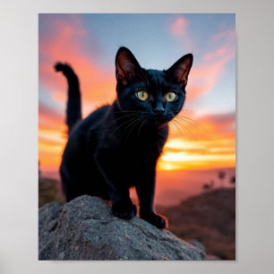 Poster Arte de Parede Silhueta de Gato Preto ao Pôr do So