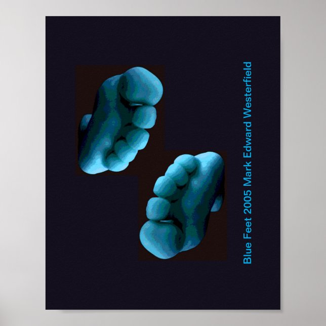 Poster Arte de Pés Azuis Cartaz (Frente)