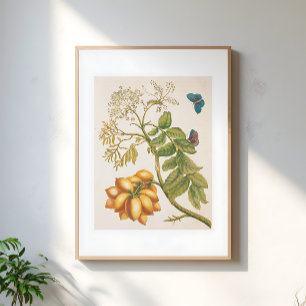 Poster Arte de Planta de Fruta Vintage com Borboletas