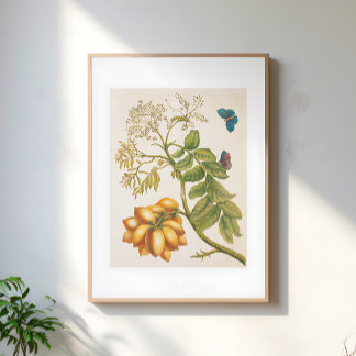 Poster Arte de Planta de Fruta Vintage com Borboletas