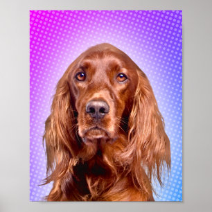 Poster Arte de Pop do Setter Irlandês Vibrante