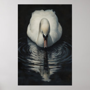 Poster Arte de Reflexão do Majestoso Cisne, Cisne Branco