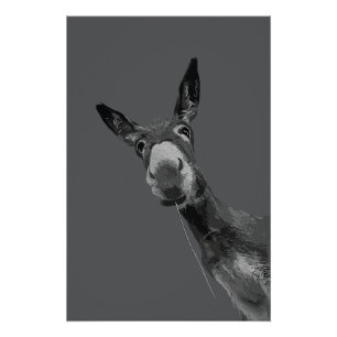 Pôster Arte de retrato em tons de cinza de burro engraçad