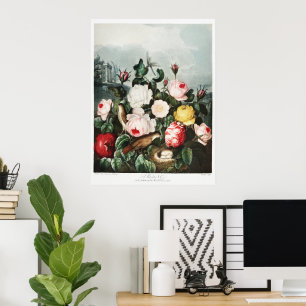 Poster Arte de Rosas Vintage Thornton Ninho de Pássaros