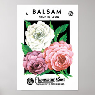 Poster Arte de rótulo de pacote de sementes vintage, flor