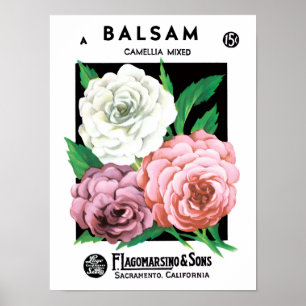 Poster Arte de rótulo de pacote de sementes vintage, flor