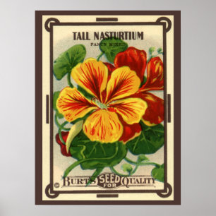Poster Arte de rótulo de pacote de sementes vintage, flor