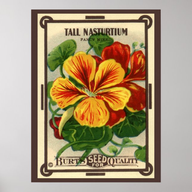 Poster Arte de rótulo de pacote de sementes vintage, flor (Frente)