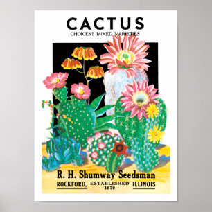 Pôster Arte de rótulo de pacote de sementes vintage Plant