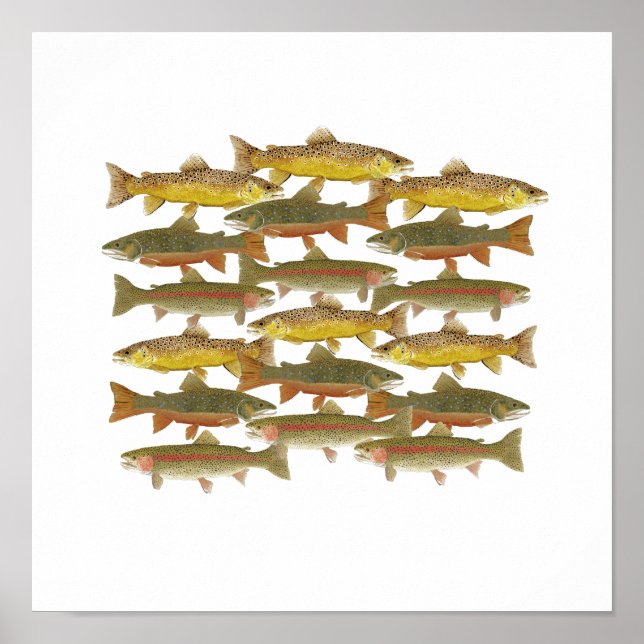 Poster Arte de Trutas Comuns (Frente)