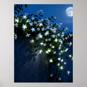 Poster Arte de Vinha de Flores Brancas ao Luar