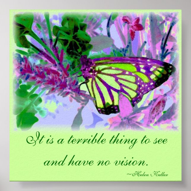 Pôster Arte de Visão Butterfly (Frente)