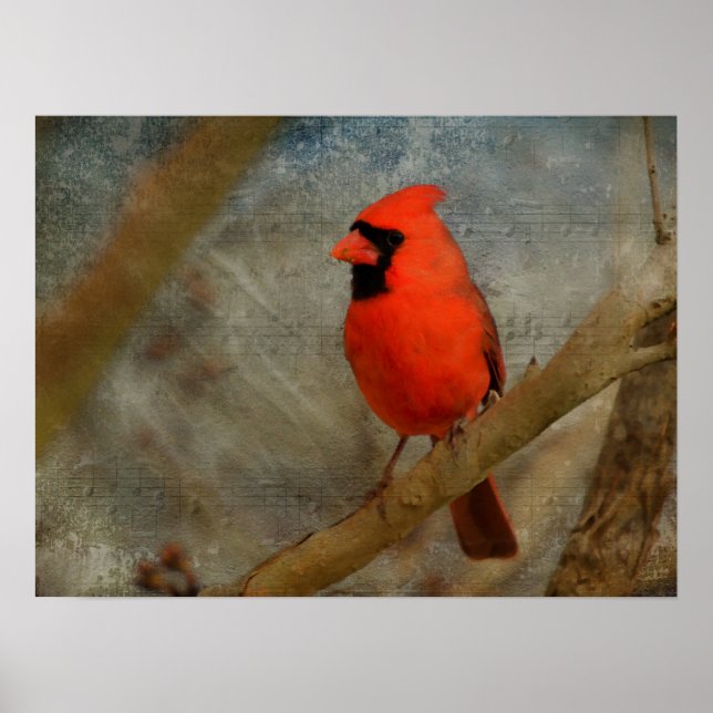 Poster Arte Digital Cardinal (Frente)