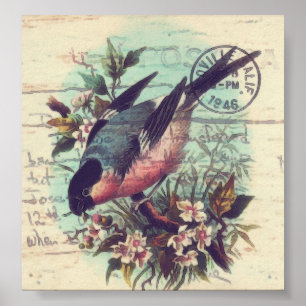 Pôster Arte digital de pássaros