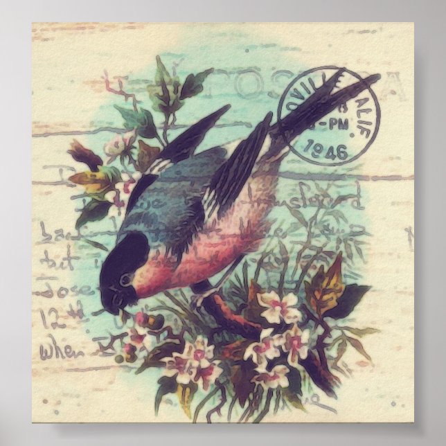 Pôster Arte digital de pássaros (Frente)