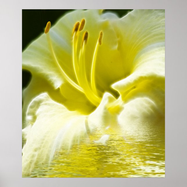 Poster Arte Digital Floral (Frente)