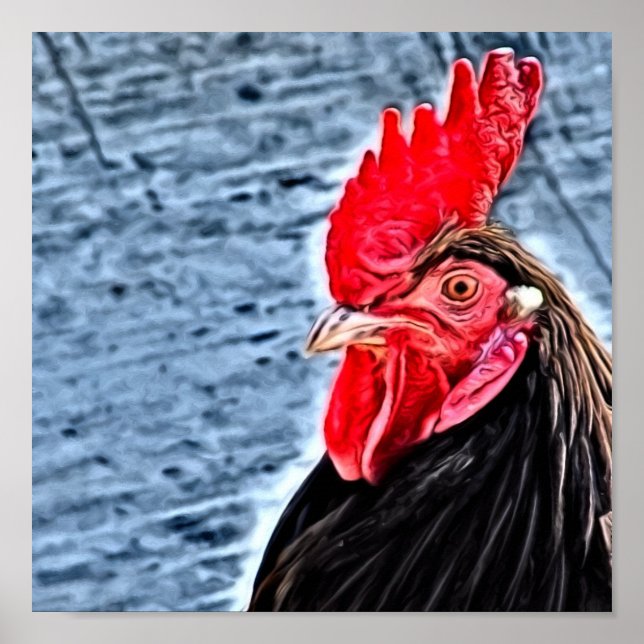 Poster Arte Digital Rooster (Frente)