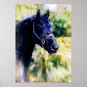 Poster Arte Digital sobre Cavalo Fresiano