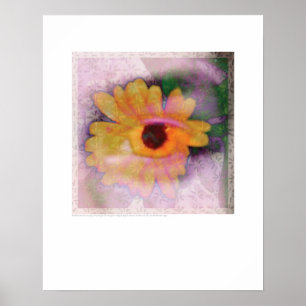 Poster Arte do cobrir - flor e íris - Griego
