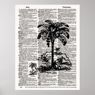 Poster Arte do dicionário da palmeira