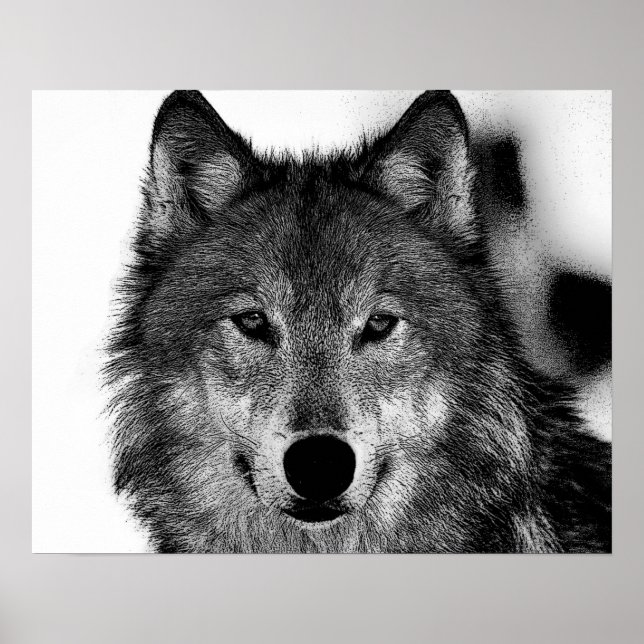 Pôster Arte do Lobo Cinza Preto e Branco (Frente)