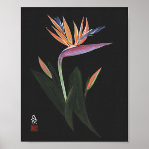 Poster Arte do Pássaro da Meia-Noite do Paraíso