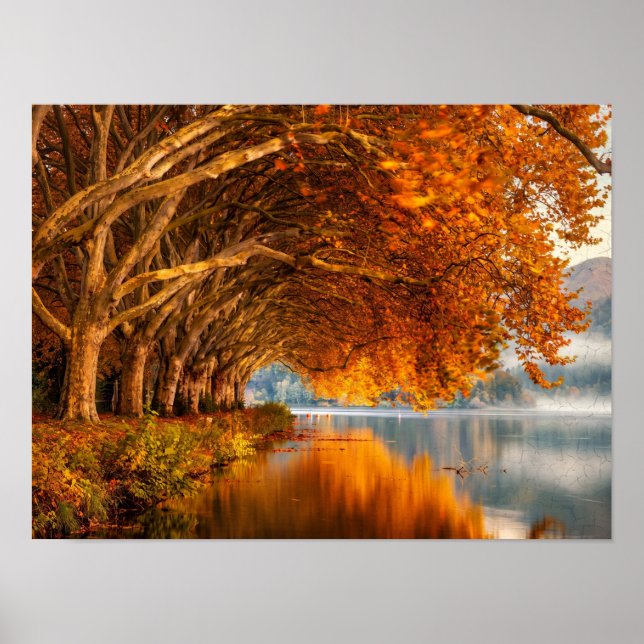 Poster Arte do Túnel de Árvores do Lago de Outono (Frente)