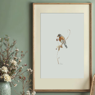 Poster Arte em Aquarela Clássica do Robin Americano com F