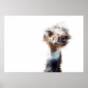 Poster Arte em Emu Luminosa