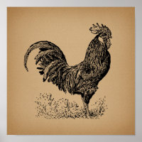 Arte em Frango com Ilustração Antiga Castanha