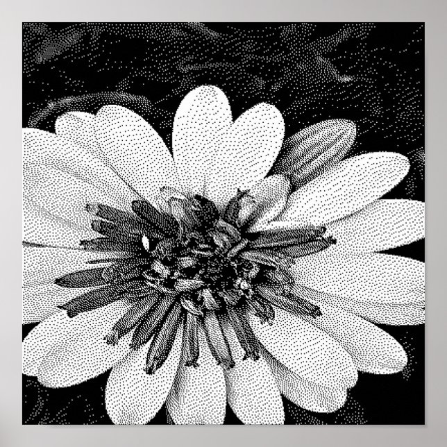Poster arte em pixéis preto e branco (Frente)