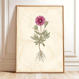 Poster Arte em Tela Botânica Boho Delosperma
