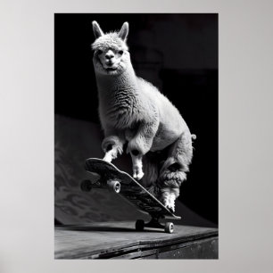 Poster Arte engraçada de alpaca de skate, foto de animal,