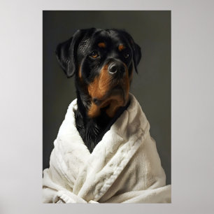 Poster Arte engraçada de Rottweiler com roupão, cachorro