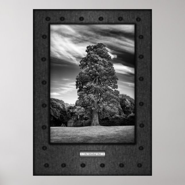 Poster Arte fina, Árvore de Leitura, aço falso rebitado (Frente)