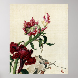 Poster Arte Flor de Crista de Galo Vermelha em Chinoiseri