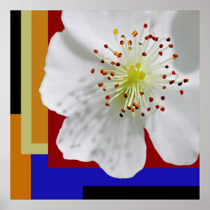 Poster Arte Floral Abstrata Moderna de Flor de Primavera