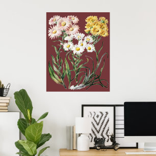 Poster Arte Floral Botânica de Flores Silvestres Colorida