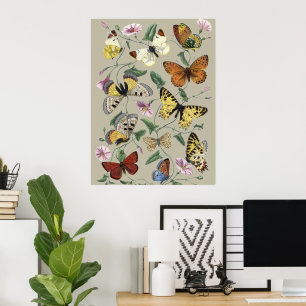 Poster Arte Floral Botânica de Mariposa Borboleta Vintage