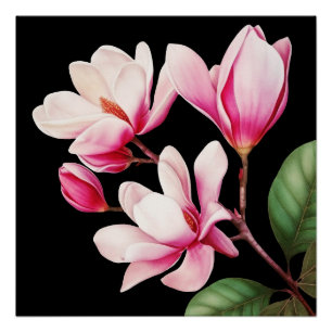 Pôster Arte Floral de Flor Rosa Simples Elegante